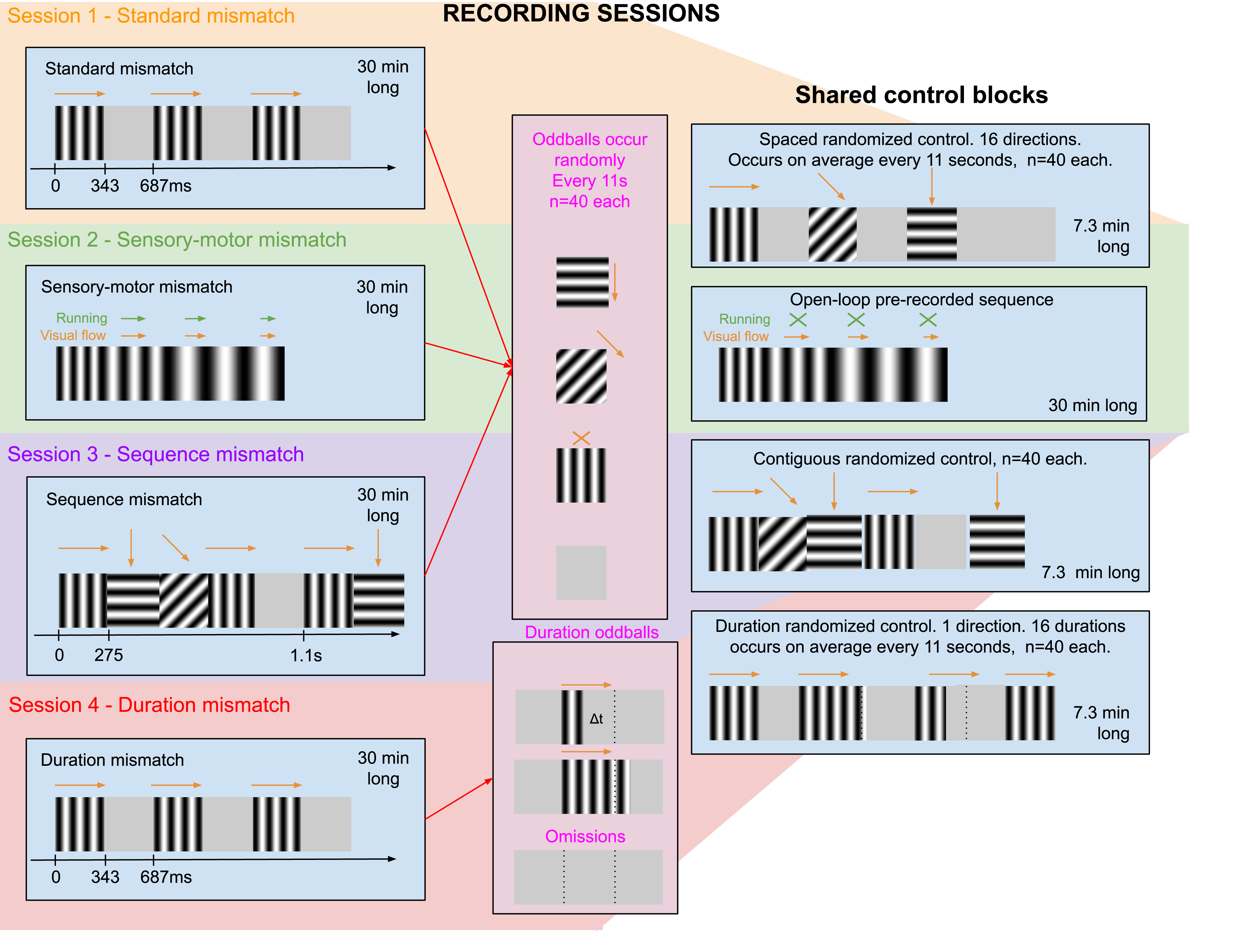 Figure 10: Stimulus design